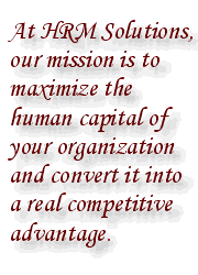 At HRM Solutions, our mission is to maximize the human capital of your organization and convert it into a real competitive advantage.
